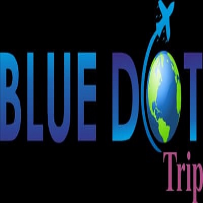 BLUE DOT TRIP